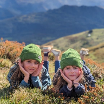 carde-des-pyrenees